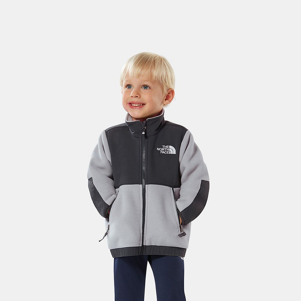 The North Face Fleeces Toddler Australia - The North Face Toddler Denali Grey (NLY-901735)